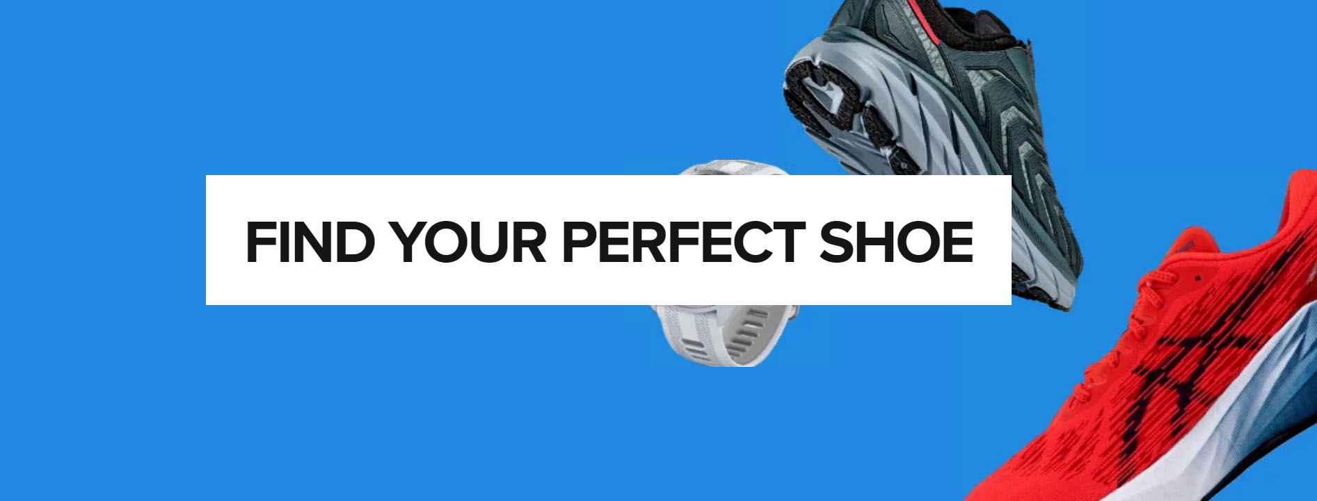 Running Shoe Store -Running Shoe Store SZDFSDF